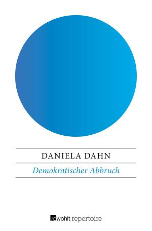 Cover of the book Demokratischer Abbruch by Fritz J. Raddatz