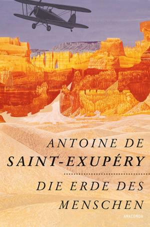 Cover of the book Die Erde des Menschen by Franz von Assisi