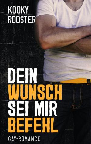 Cover of the book Dein Wunsch sei mir Befehl by Daniel Chay