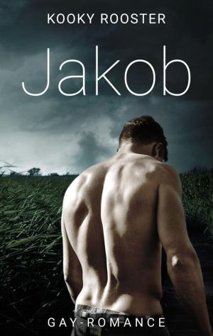Cover of the book Jakob by Erin Bernstein, Kisari Mohan Ganguli