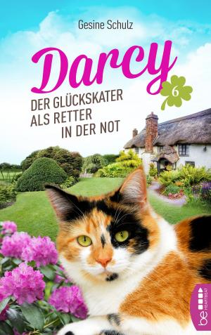 Cover of the book Darcy - Der Glückskater als Retter in der Not by Jessica Stirling