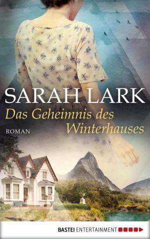 Book cover of Das Geheimnis des Winterhauses