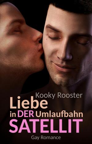 Book cover of Der Satellit