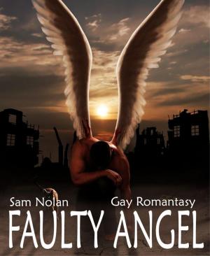 Cover of the book Faulty Angel by Zena Kießner