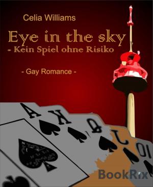 Cover of the book Eye in the sky - Kein Spiel ohne Risiko by Margarete Lenk