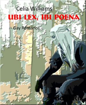 Cover of the book Ubi lex, ibi poena by Markus Graupner