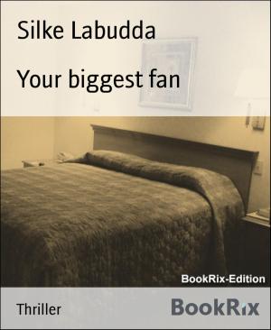Cover of the book Your biggest fan by Mi Pa