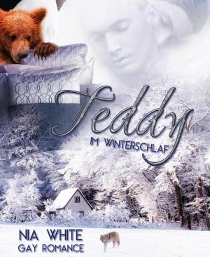 Cover of the book Teddy im Winterschlaf by Alfred Bekker, Uwe Erichsen