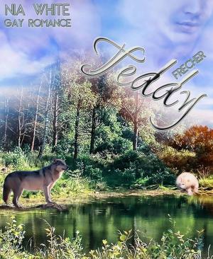 Cover of the book Frecher Teddy by Iisha Taylor