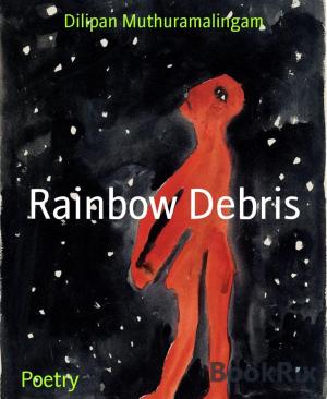 Cover of the book Rainbow Debris by Daniel Coenn