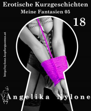 Book cover of Erotische Kurzgeschichten 18 - Meine Fantasien 05
