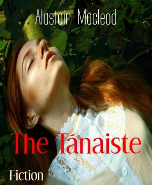 Cover of the book The Tánaiste by Martin Barkawitz