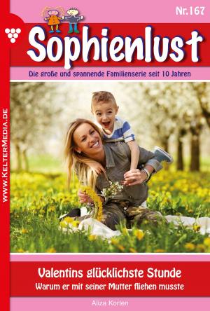 bigCover of the book Sophienlust 167 – Familienroman by 