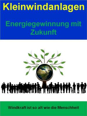 Book cover of Kleinwindanlagen - Energiegewinnung mit Zukunft