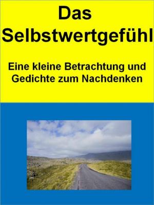 Cover of the book Das Selbstwertgefühl by Arik Steen