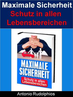 Book cover of Maximale Sicherheit