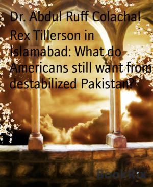 Cover of the book Rex Tillerson in Islamabad: What do Americans still want from destabilized Pakistan? by Florian Gerlach