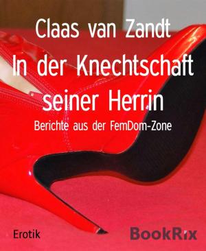 Cover of the book In der Knechtschaft seiner Herrin by Cedric Balmore