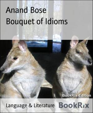 Book cover of Bouquet of Idioms