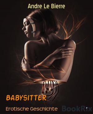 Cover of the book Babysitter by Ronald M. Hahn