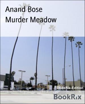Book cover of Murder Meadow