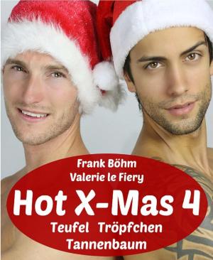 Cover of the book Hot X-Mas 4 by Dana Müller