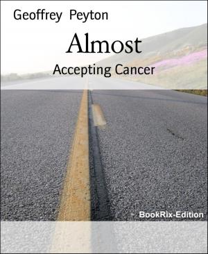 Cover of the book Almost by Pierre d'Amour