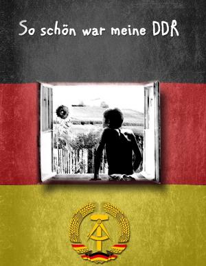 Cover of the book So schön war meine DDR by Sylvia Schwanz