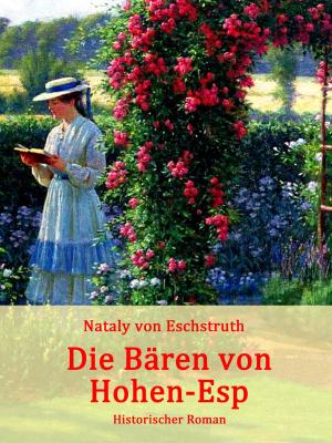 Cover of the book Die Bären von Hohen-Esp by Carol Gregor Luethi