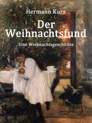 Cover of the book Der Weihnachtsfund by Sven Magnus Hanefeld