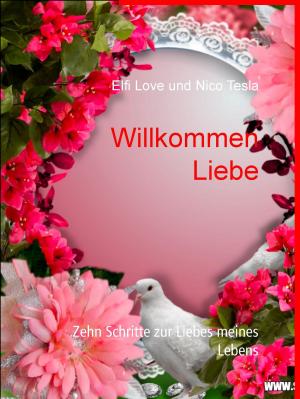 Cover of the book Willkommen Liebe by Klaus Bonn, Henry David Thoreau