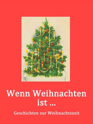 Cover of the book Wenn Weihnachten ist .... by Jörg Becker