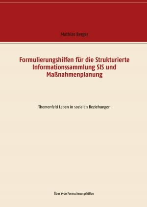 Cover of the book Formulierungshilfen für die Strukturierte Informationssammlung SIS und Maßnahmenplanung by 