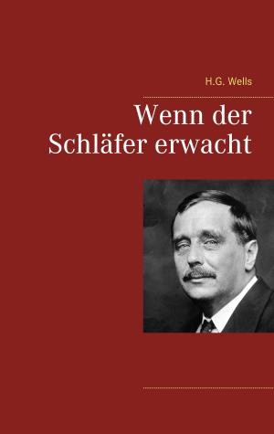 Cover of the book Wenn der Schläfer erwacht by Volker Krahn, Oliver Tschirsky
