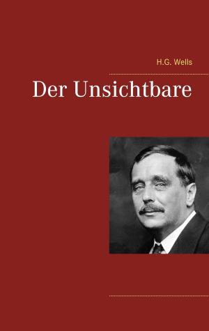 Cover of the book Der Unsichtbare by Lutz Brana