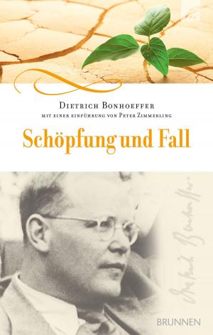 Cover of the book Schöpfung und Fall by C. S. Lewis