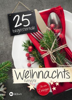 Cover of the book 25 begeisternde Weihnachtsrezepte by Franz Kinker