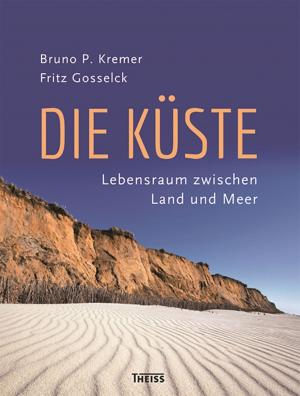 Book cover of Die Küste