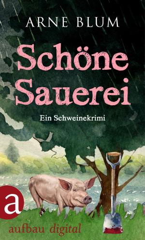 Cover of the book Schöne Sauerei by Edgar Rai