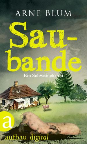 Cover of the book Saubande by Ellen Berg