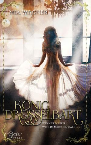 Cover of the book Wenn es dunkel wird im Märchenwald ...: König Drosselbart by Sarah Schwartz