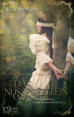 Cover of the book Wenn es dunkel wird im Märchenwald ...: Das Nusszweiglein by Alexis Kay