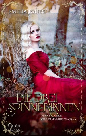 Cover of the book Wenn es dunkel wird im Märchenwald ...: Die drei Spinnerinnen by Ellie Wolf