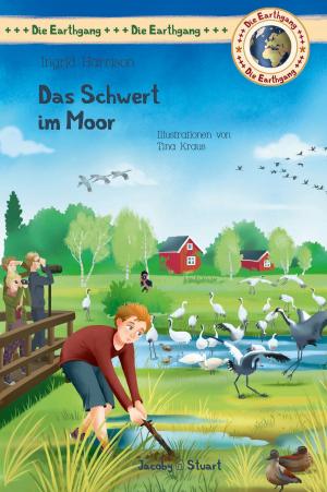 Book cover of Das Schwert im Moor