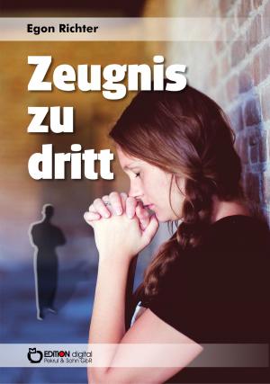 Cover of the book Zeugnis zu dritt by Siegfried Maaß