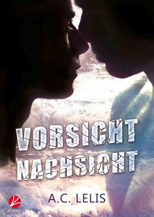 Cover of the book Vorsicht Nachsicht by Edward Naughty