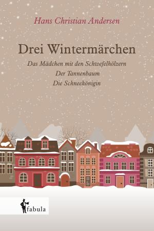 Cover of the book Drei Wintermärchen by Jules Verne