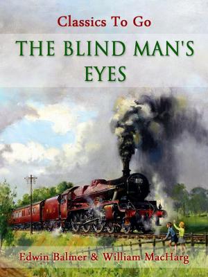 Book cover of The Blind Man's Eyes