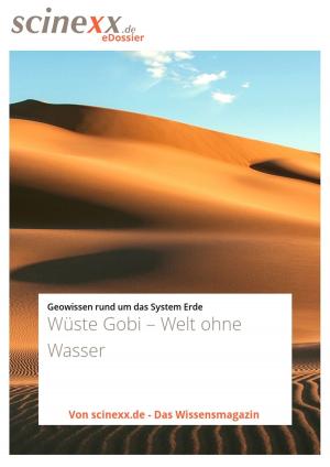Cover of Wüste Gobi