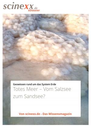 Cover of Totes Meer
